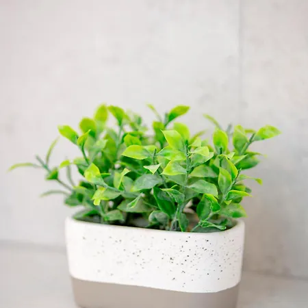 Apartmán Chilliapartamenty - Blizej Morza - Hygge