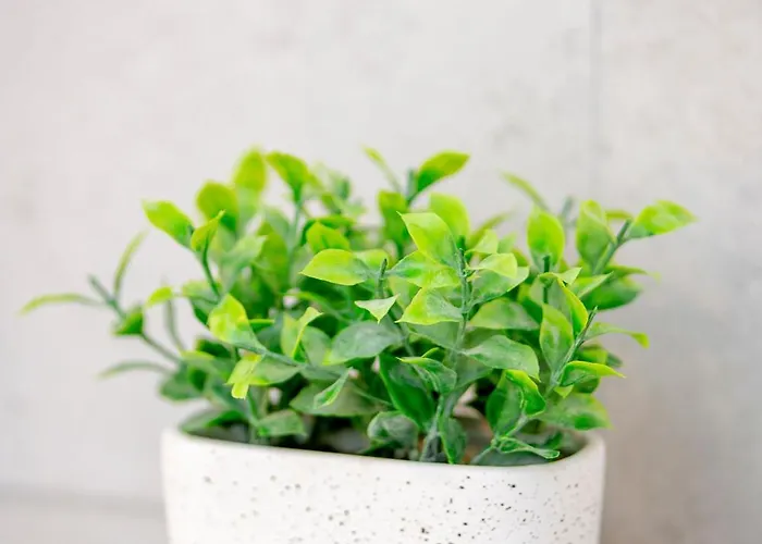 Apartamento Chilliapartamenty - Blizej Morza - Hygge